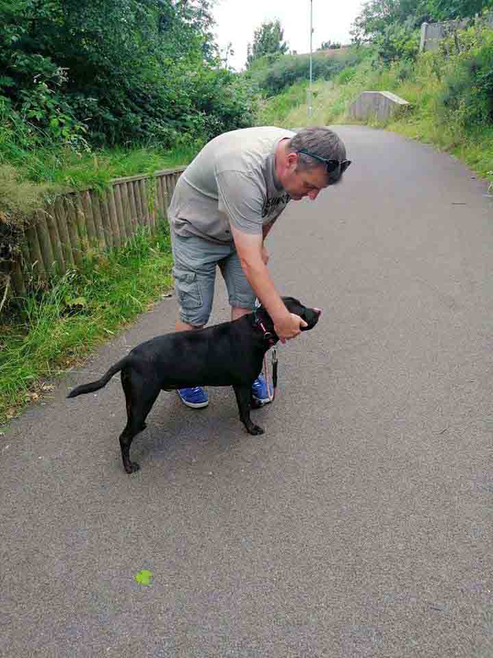 Happy Dog - Maccy G Pets