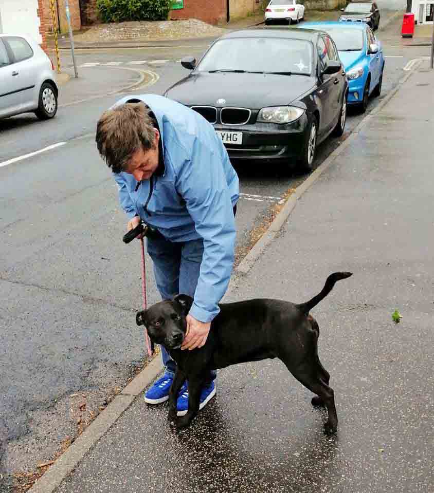 Happy Dog - Maccy G Pets