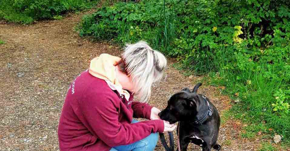 Happy Dog - Maccy G Pets